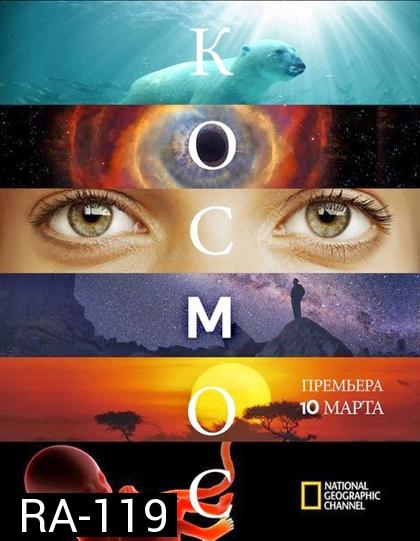 Cosmos A Spacetime Odyssey Season 1