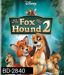  The Fox and the Hound II (2006) เพื่อนแท้ในป่าใหญ่ 2