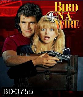 Bird on a Wire (1990) ดับอำมหิต