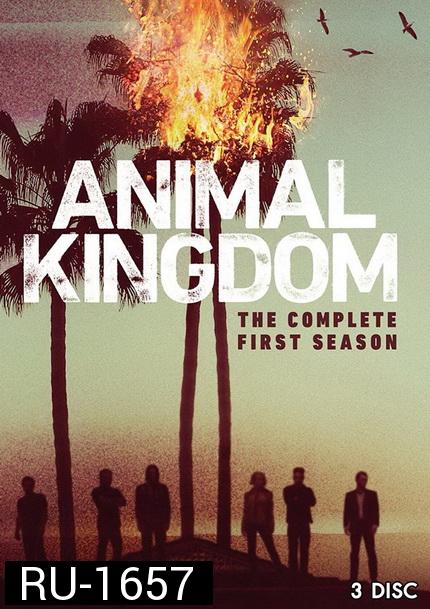 ANIMAL KINGDOM  ตระกูลชั่ว ครอบครัวโจร SEASON 1 ( 10 ตอนจบ )