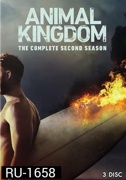 ANIMAL KINGDOM ตระกูลชั่ว ครอบครัวโจร SEASON 2 ( 13 ตอนจบ )