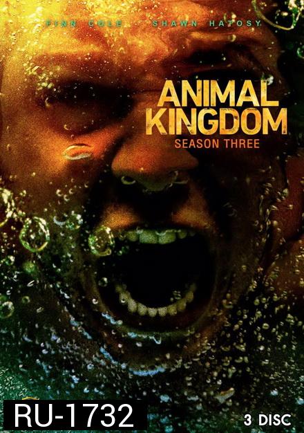 ANIMAL KINGDOM ตระกูลชั่ว ครอบครัวโจร SEASON 3 ( 13 ตอนจบ )