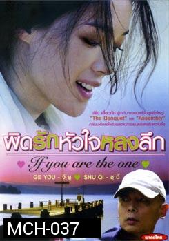 If You Are The One ผิดรักหัวใจหลงลึก 