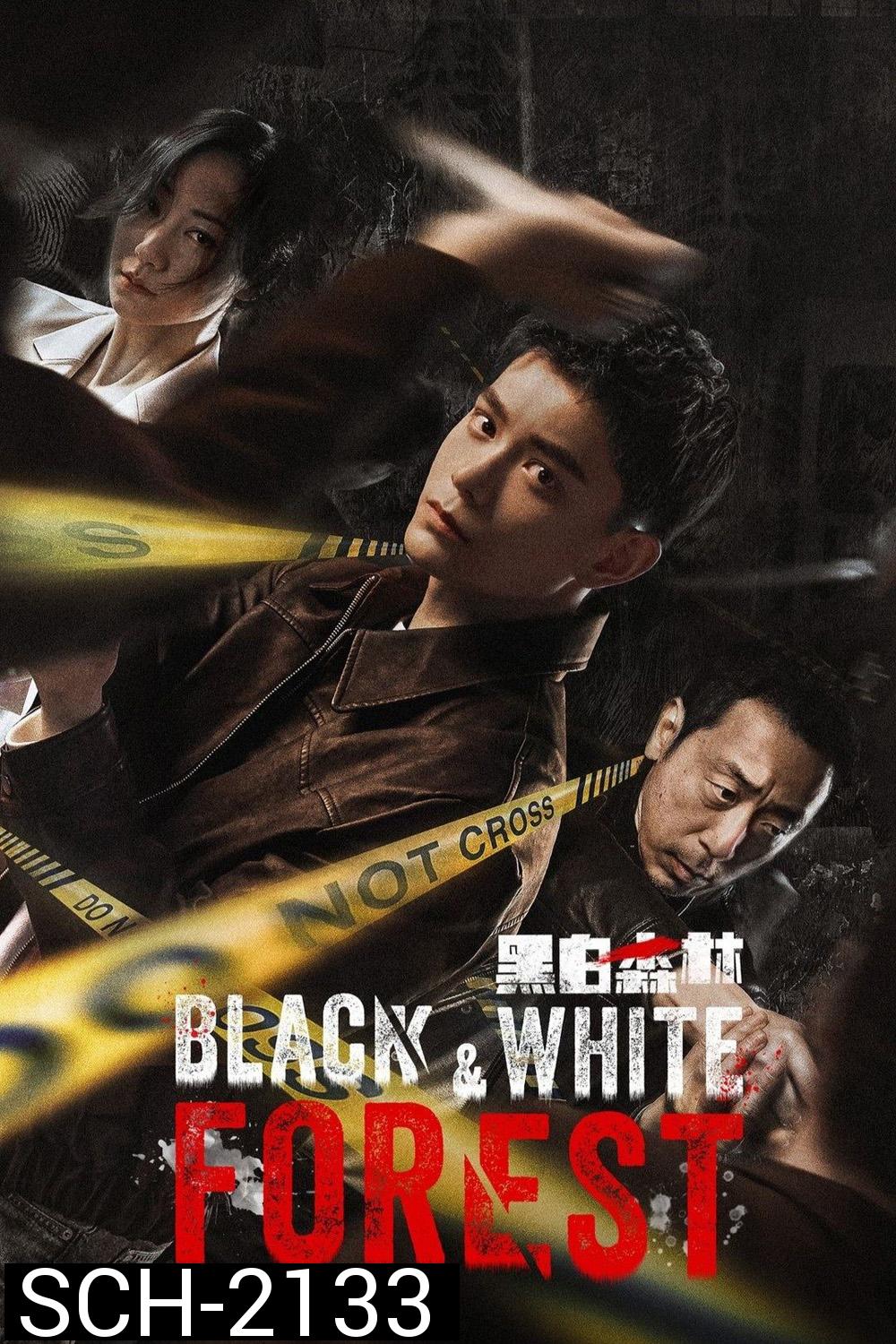 Black and White Forest ปมปริศนาป่าซ่อนเงื่อน (2024) 28 ตอนจบ