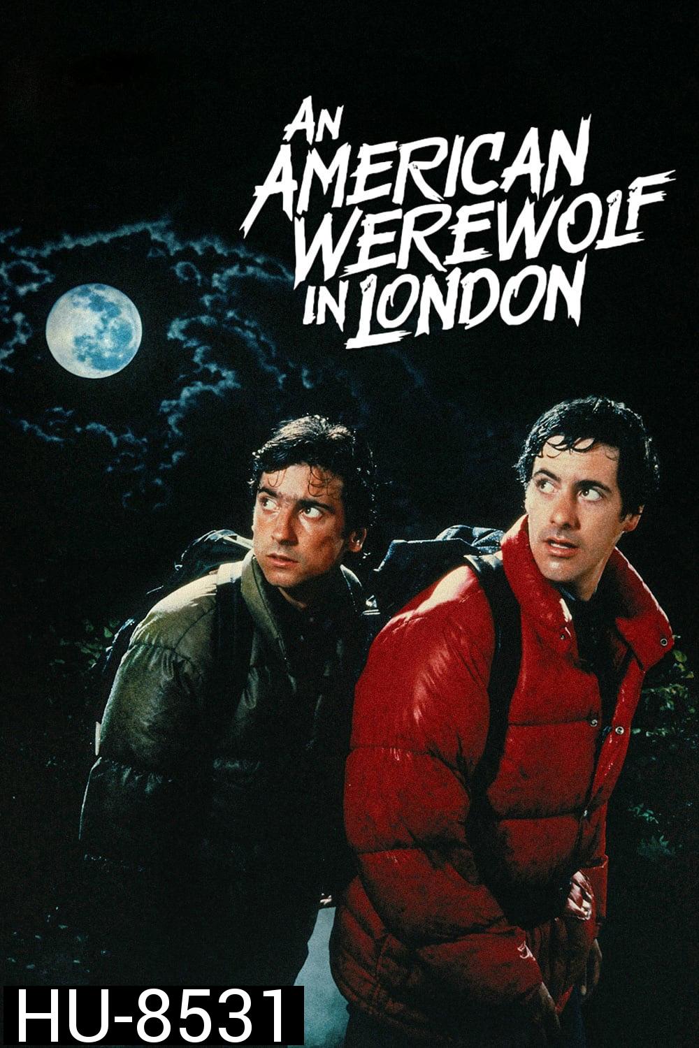 คนหอนคืนโหด An American Werewolf in London (1981)