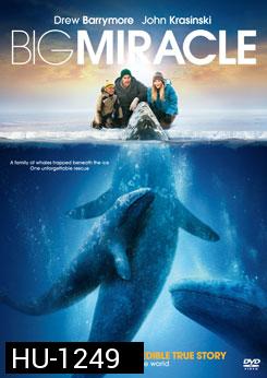 Big Miracle ปาฏิหาริย์วาฬสีเทา