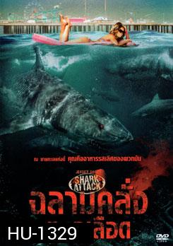 Jersey Shore Shark Attack ฉลามคลั่งทะเลเลือด